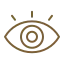 Vision Icon